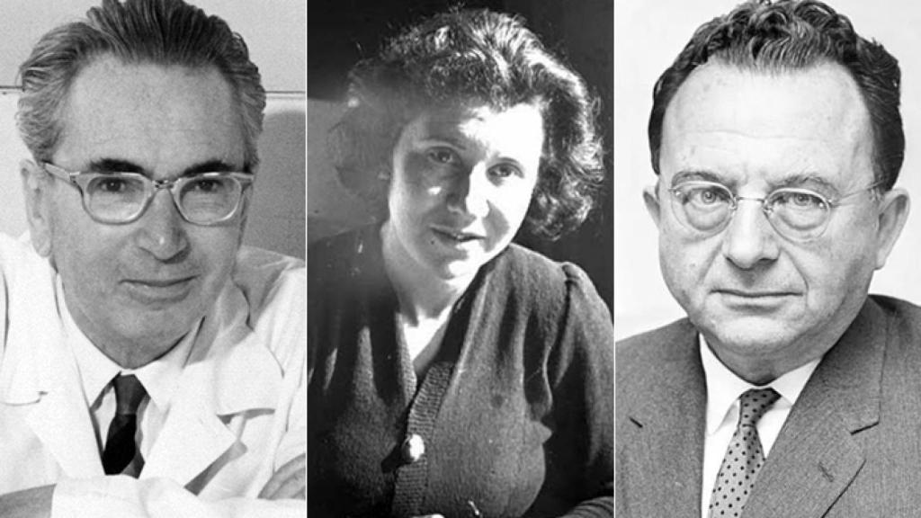 Viktor-Frankl,-Etty-Hillesum-y-Erich-Fromm