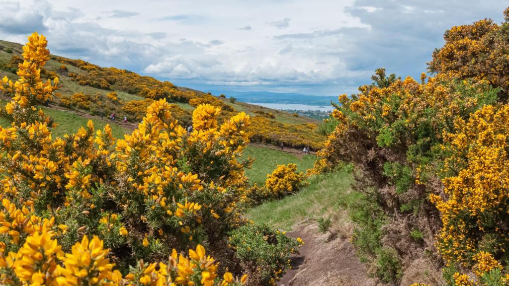 Rescatado un hombre tras caerse en una zona de difícil acceso en Valga (Pontevedra)