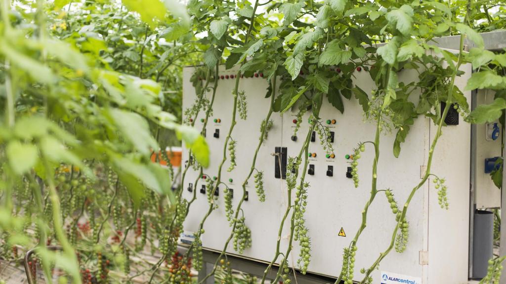 Sistema integrado de control de clima y riego para la optimización del uso de agua y fertilizantes.