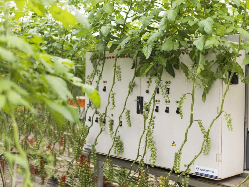 Sistema integrado de control de clima y riego para la optimización del uso de agua y fertilizantes