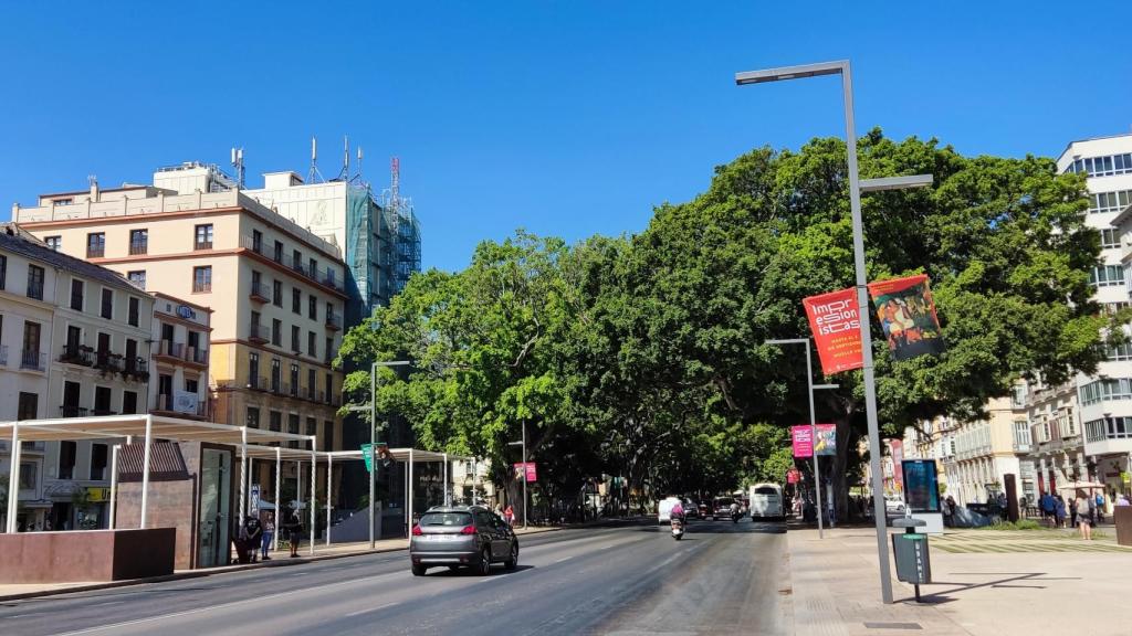 Imagen de la Alameda Principal de Málaga.