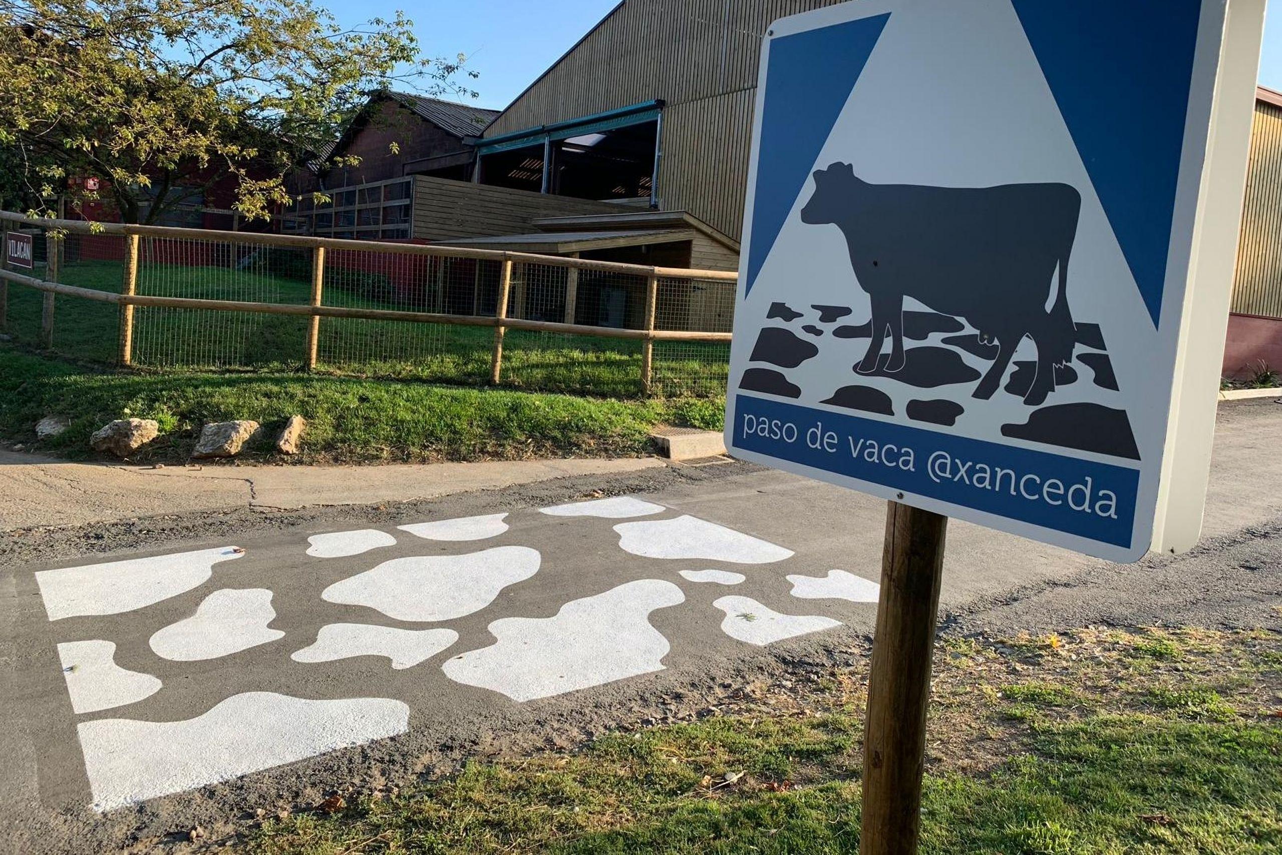 Un paso de vaca en Xanceda (Casa Grande de Xanceda).