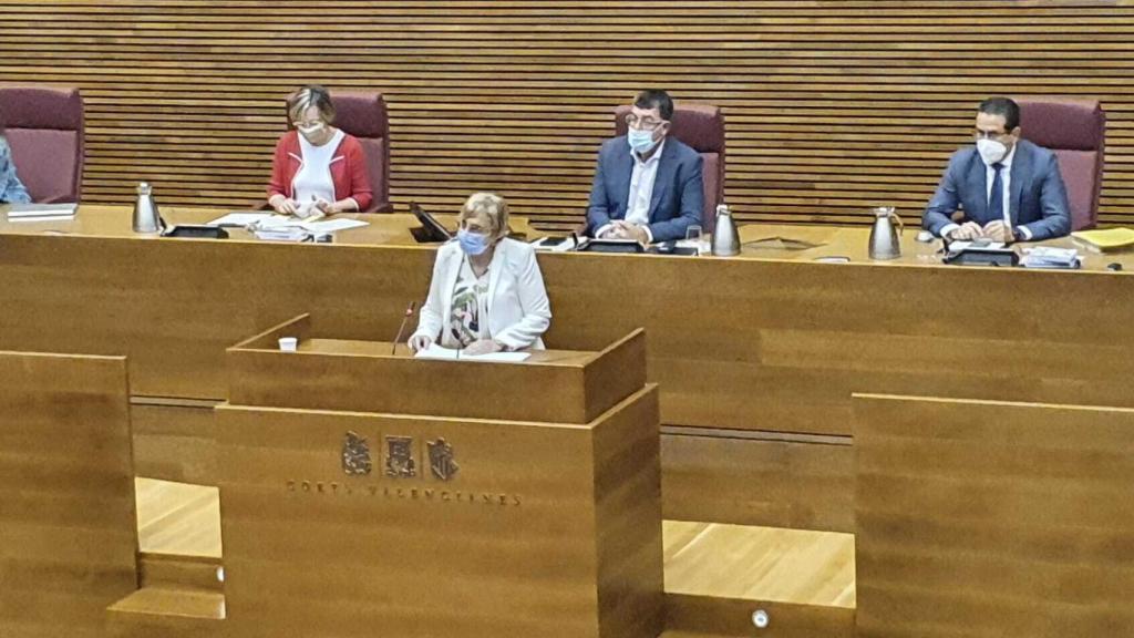 Ana Barceló, en su comparecencia en las Cortes Valencianas.