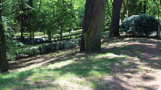 El Parque de Santa Margarita.