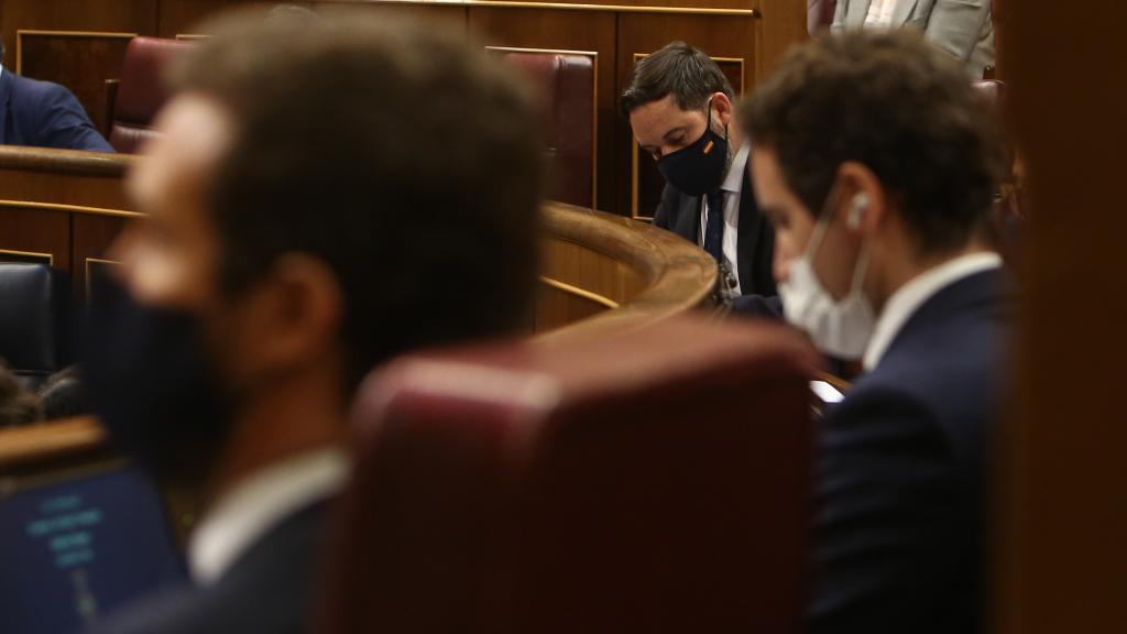 Santiago Abascal (al fondo) en el Congreso, donde se ve también a Pablo Casado y Teodoro García Egea.