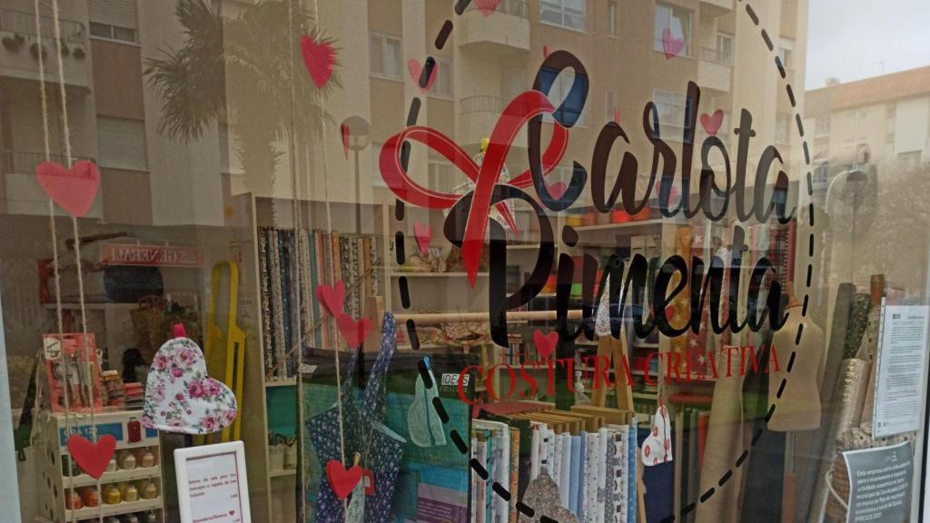 Carlota Pimienta: Costura Creativa