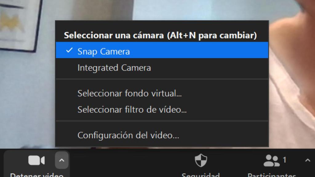 Zoom videollamada