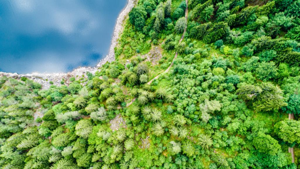 Imagen de un paisaje.