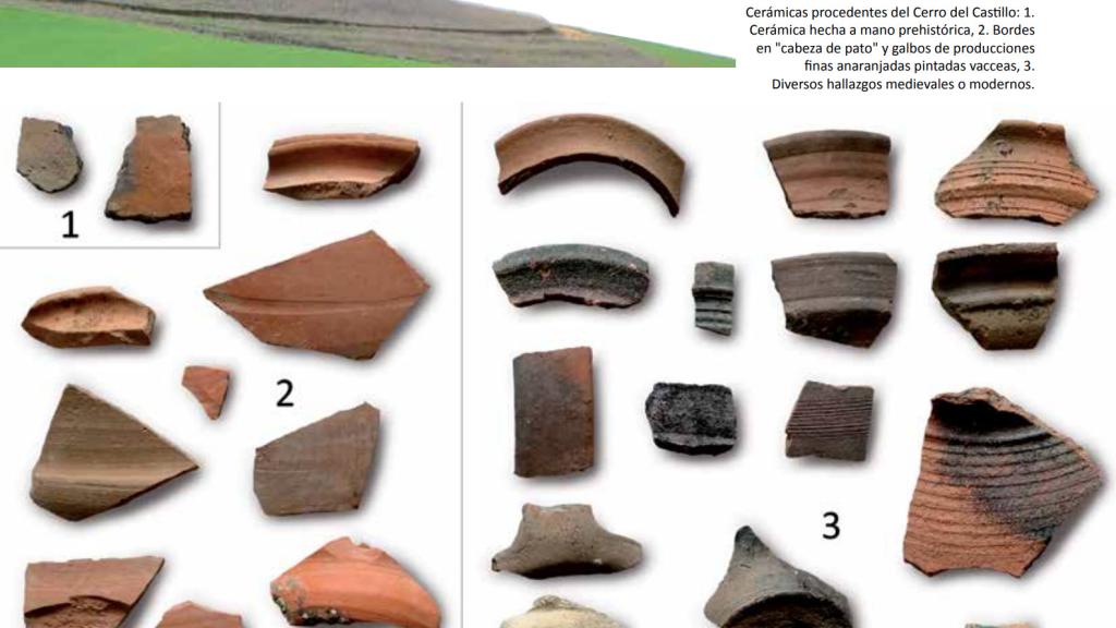Gráfico de «Tordehumos. Un asentamiento menor vacceo, de corta duración»