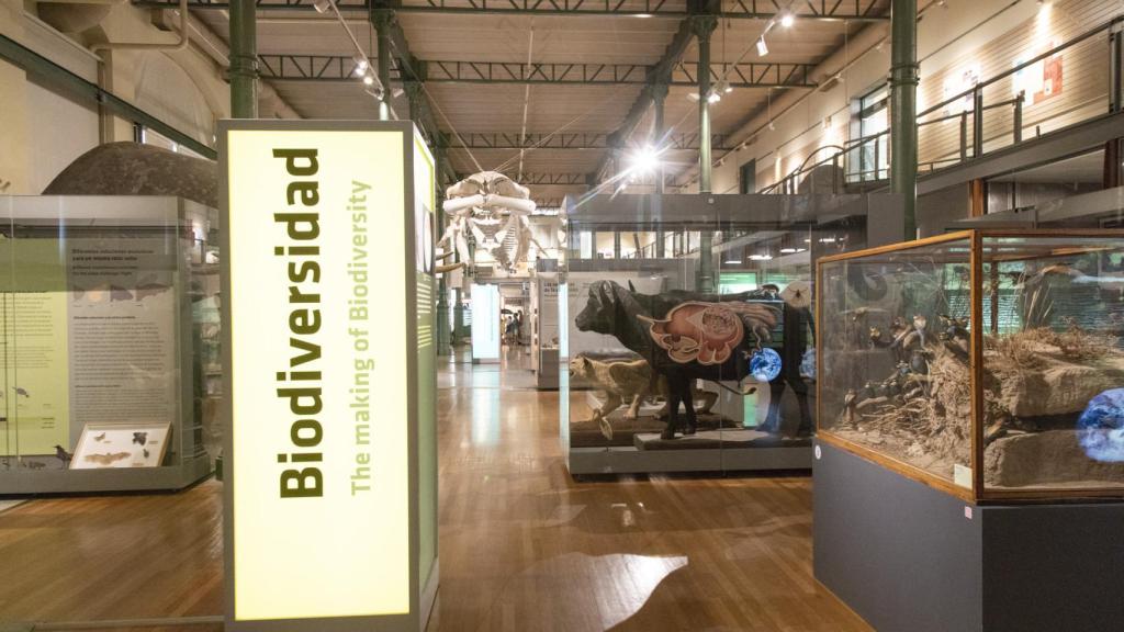 El Museo Nacional de Ciencias Naturales cumple 250 años este octubre.