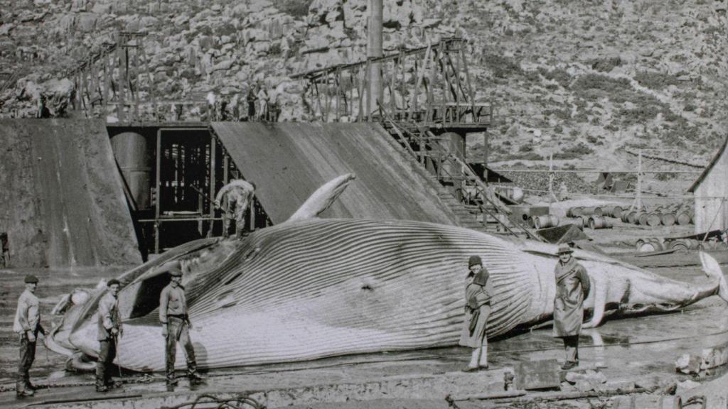 Factoría de Caneliñas