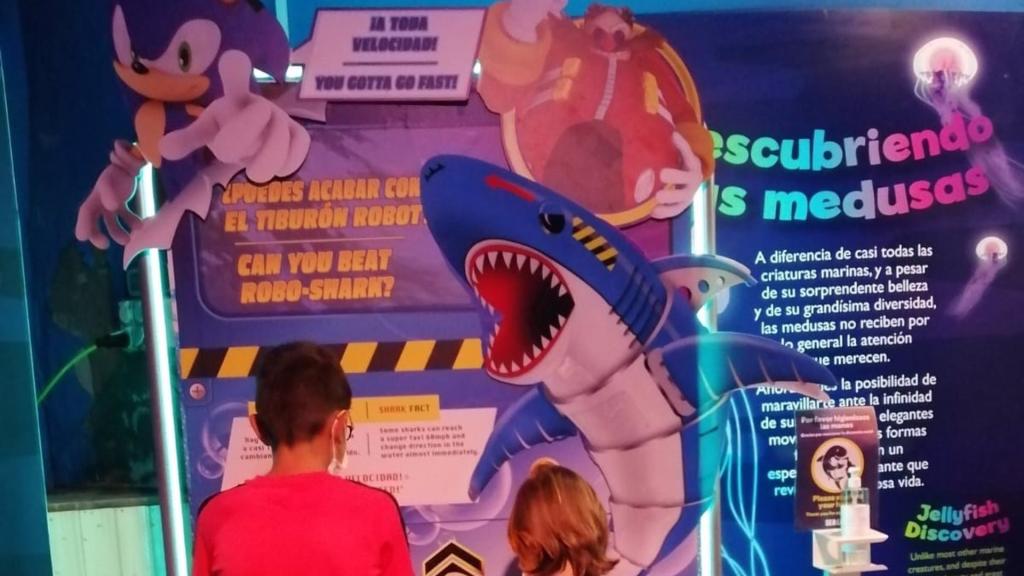 Sea Life Benalmádena impulsa junto a Sonic actividades para promover la conservación del mundo marino.