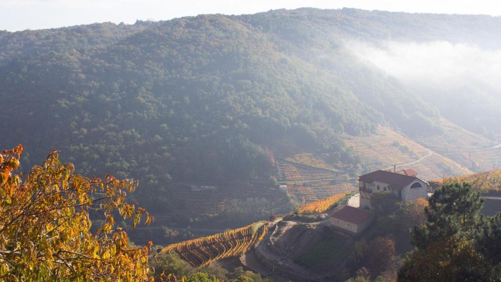 Imagen de archivo de la Ribeira Sacra.