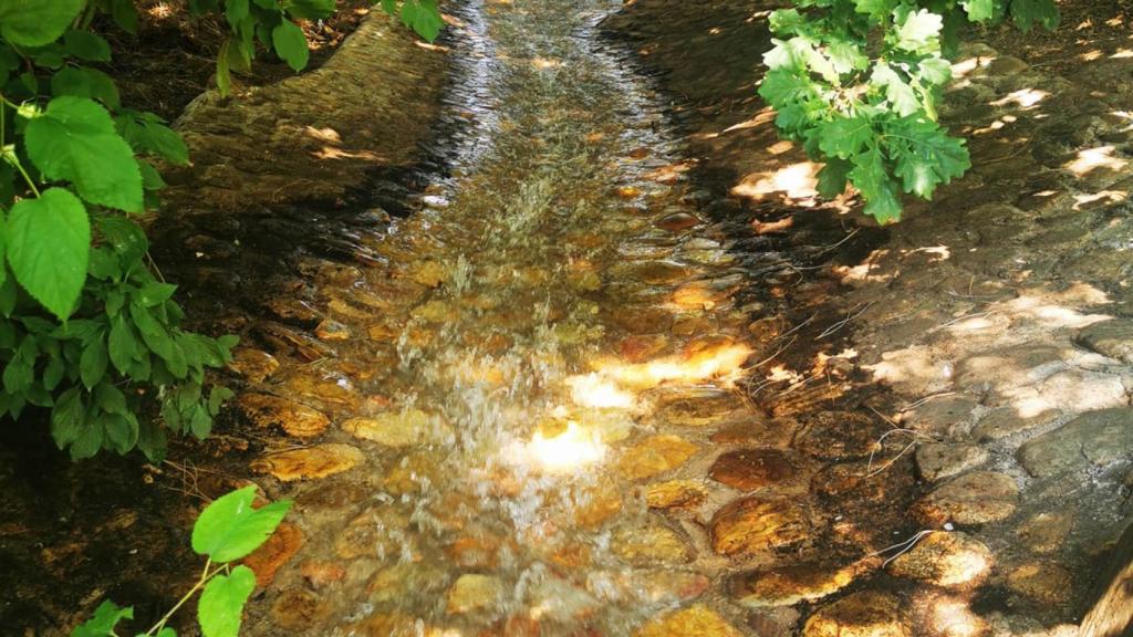 Afluente recuperado.