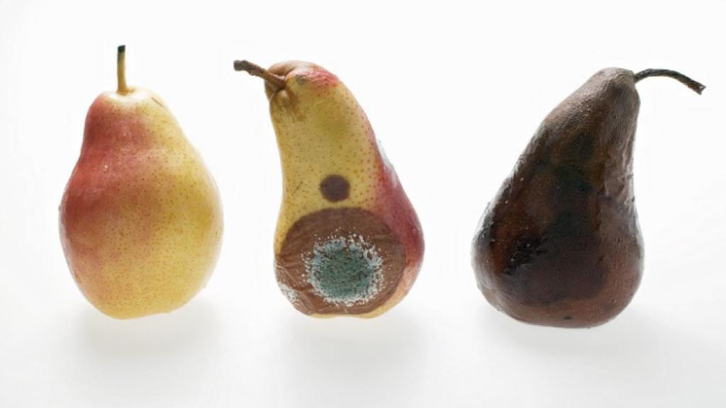 Los pasos del deterioro de una misma pieza de fruta.