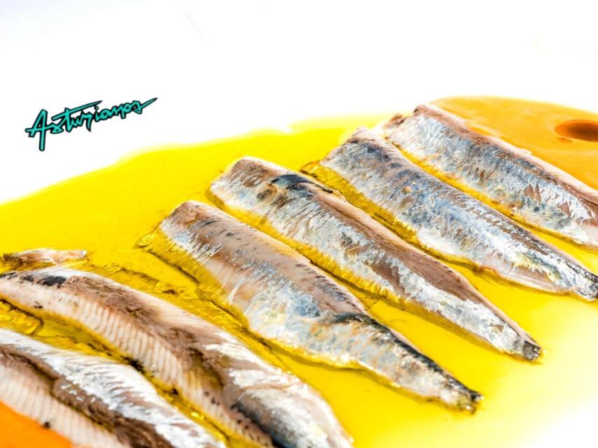 Sardinas - Asturianos