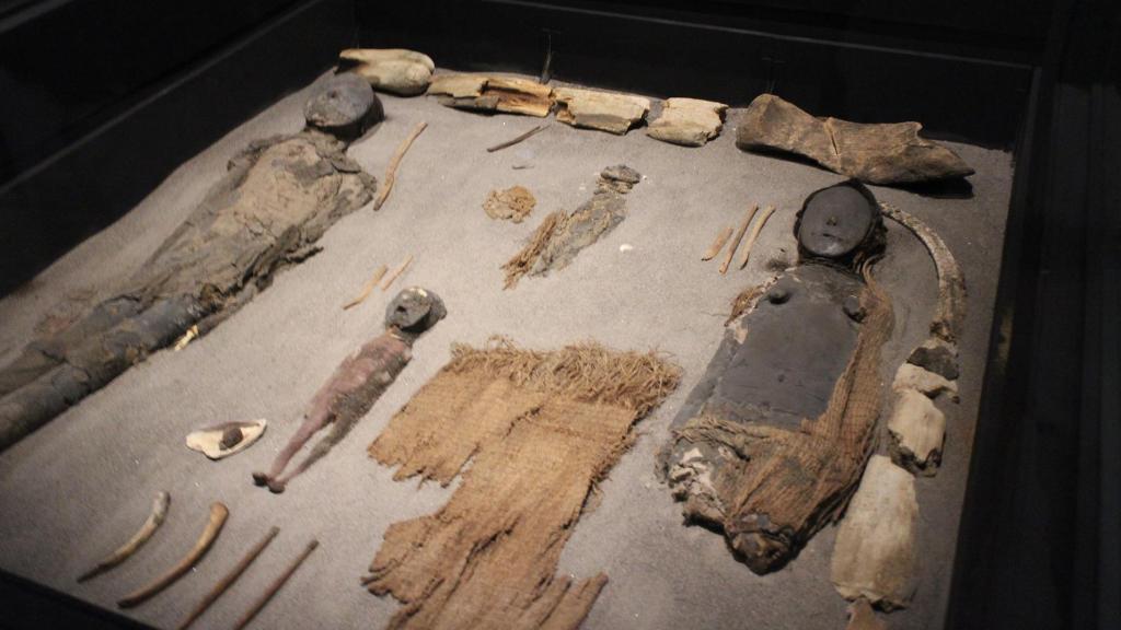 Imágenes de las momias fotografiadas en el Museo San Migue de Azapa de esta localidad del norte de Chile.