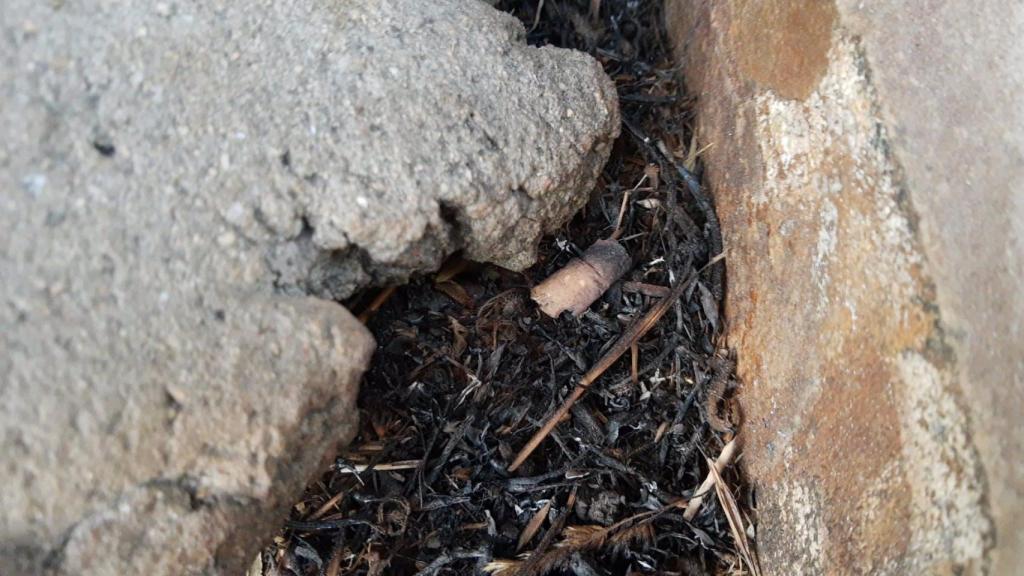 Colilla mal apagada, origen del incendio de Rubiá.