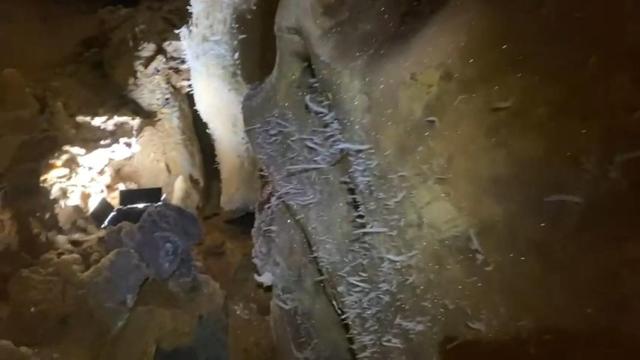 Interior de la cueva recién hallada en La Araña