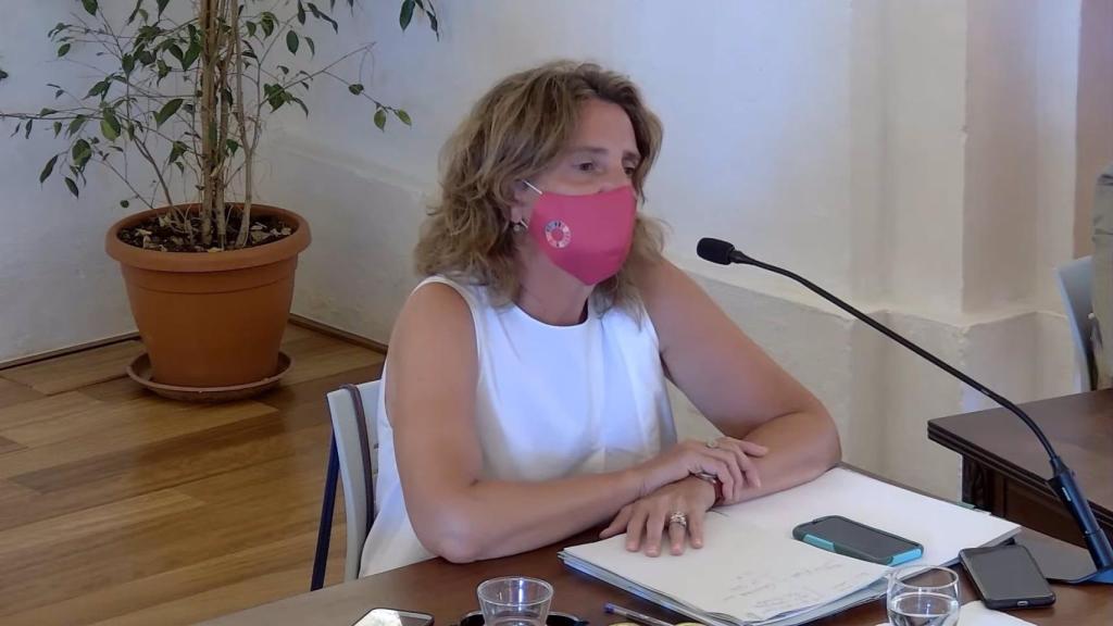 Ribera anuncia la convocatoria de una nueva subasta de renovables con 3.300 MW