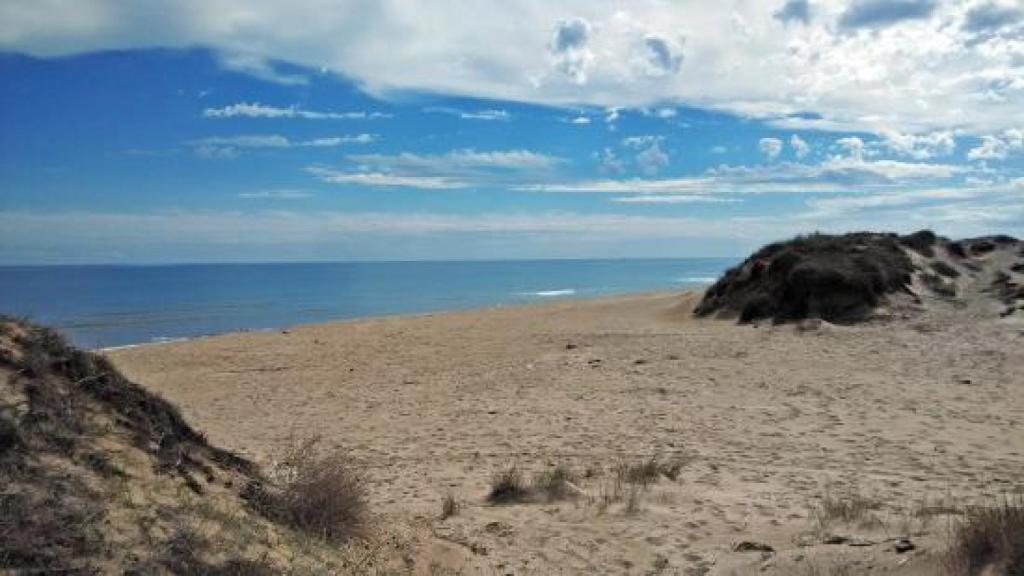 playa-de-la-dehesa-del-saler-tripadvisor