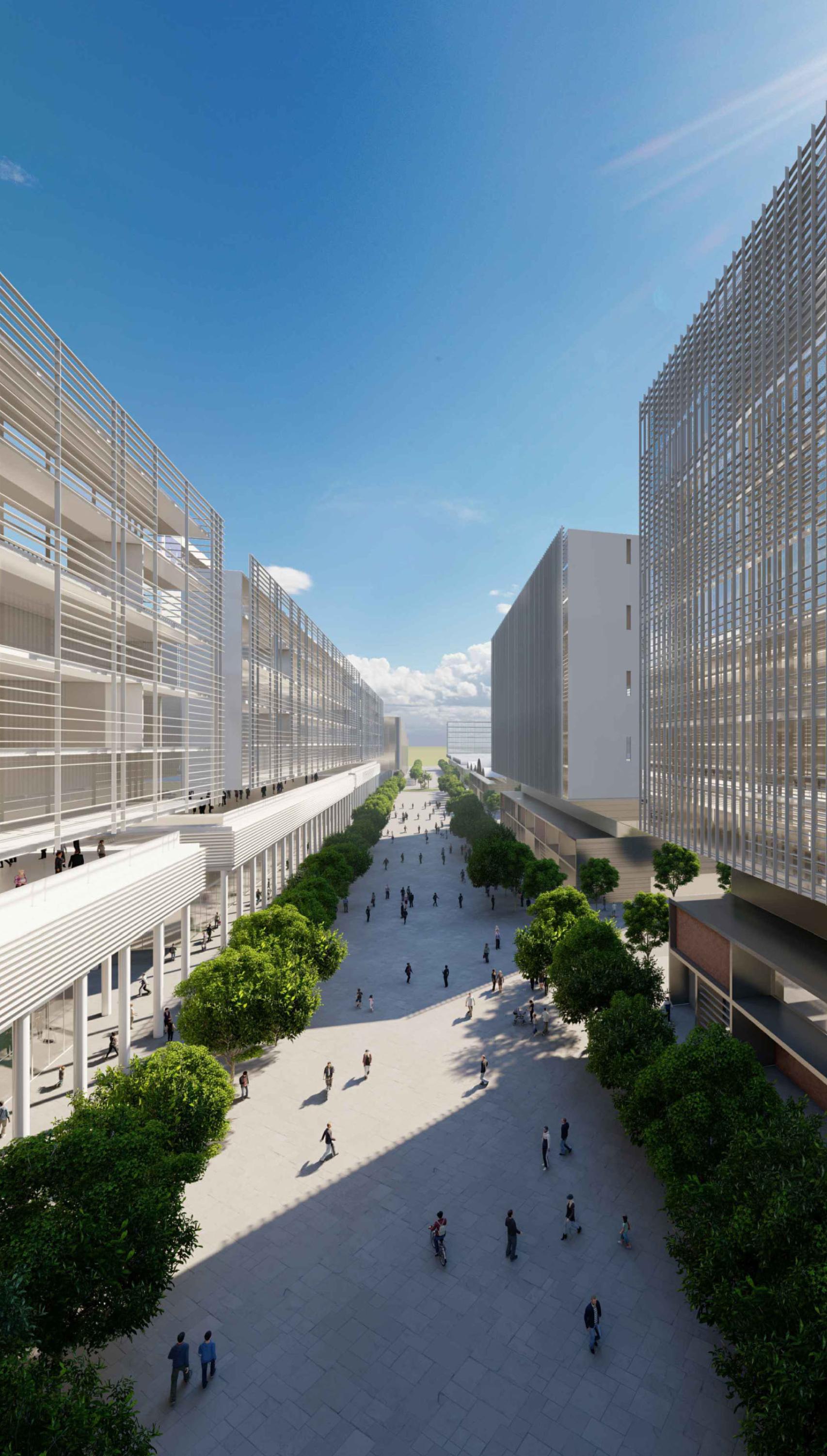 Vista de la calle alrededor de la cual se proponen los nuevos desarrollos.