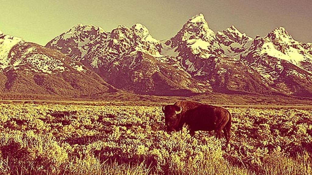 El agujero de Jackson... y de la Fed