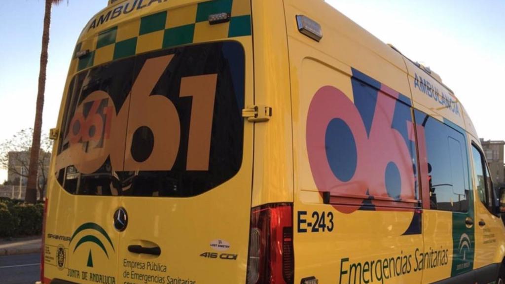 Atropello múltiple en el paseo marítimo de Estepona: cuatro heridos, uno de ellos grave