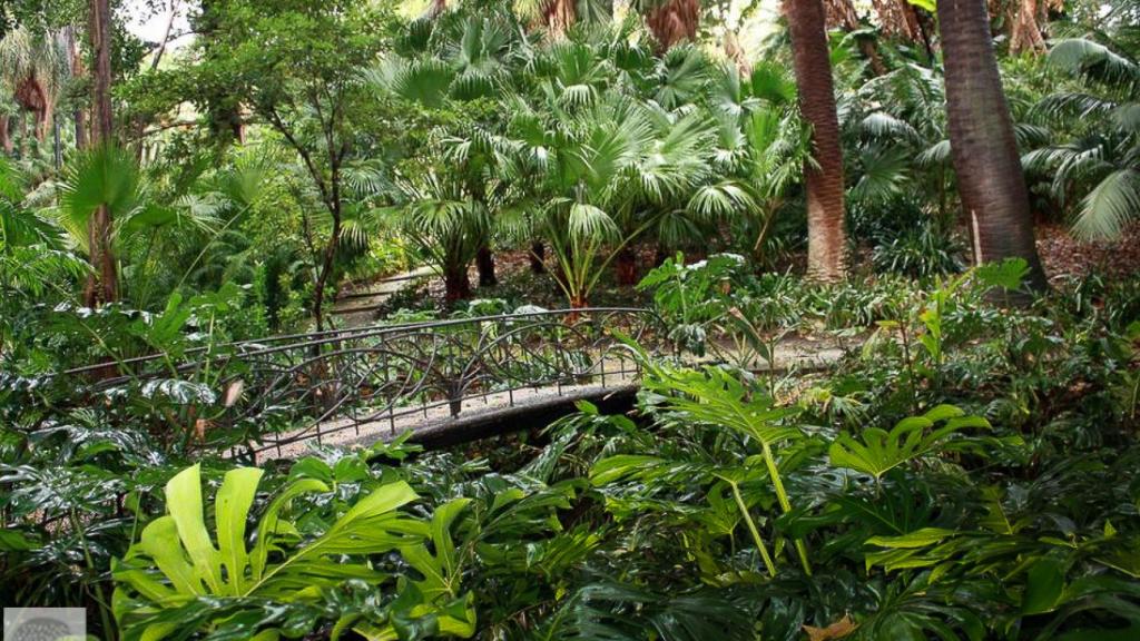 Uno de los parajes del Jardín de la Concepción, en Málaga.