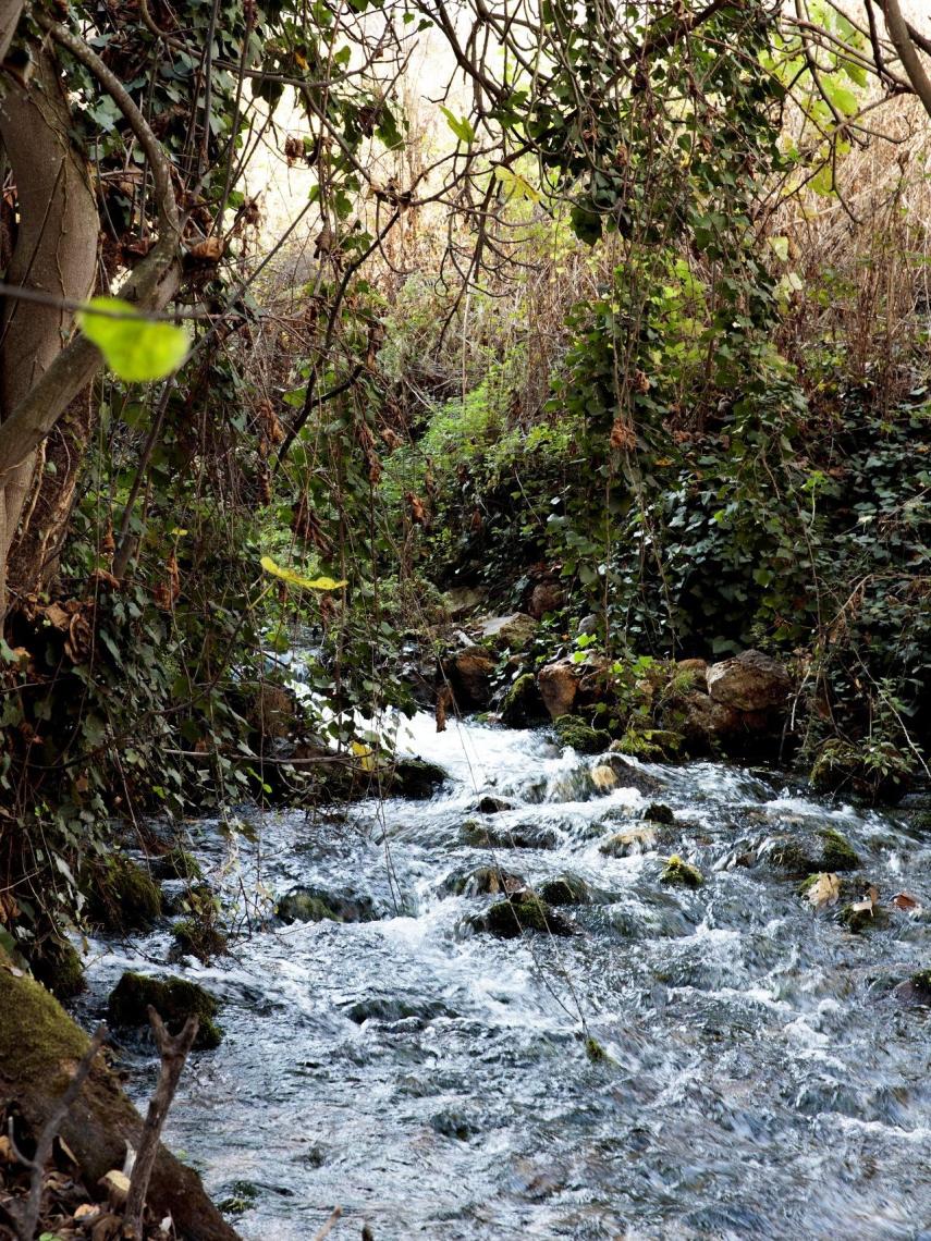 Entorno de producción del Caviar Riofrío