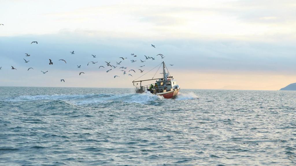 Imagen de archivo de un barco pesquero.