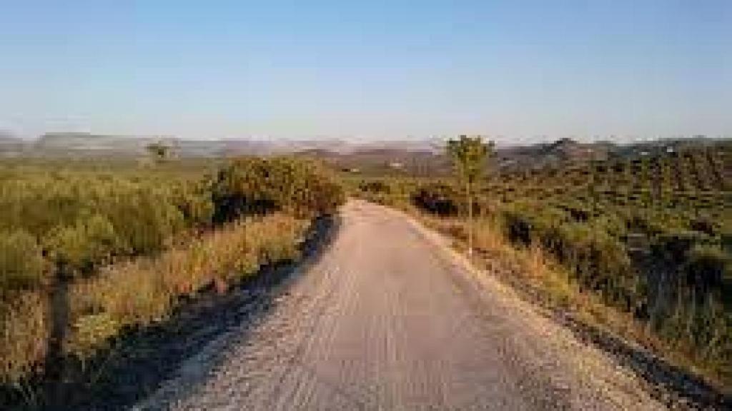 Vía Verde del Aceite