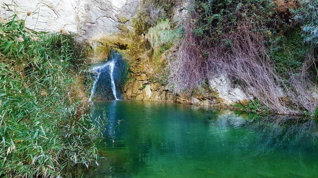 Rambla de la Pusa en Petrer.