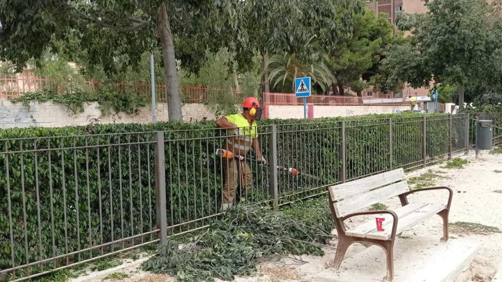 Adecuación parque canino de la calle Cronista Vicente Morellá.