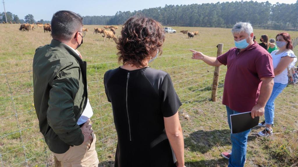 El conselleiro de Medio Rural, José González, ha visitado hoy la zona.