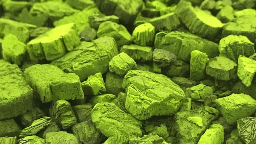 Biomasa de microalgas