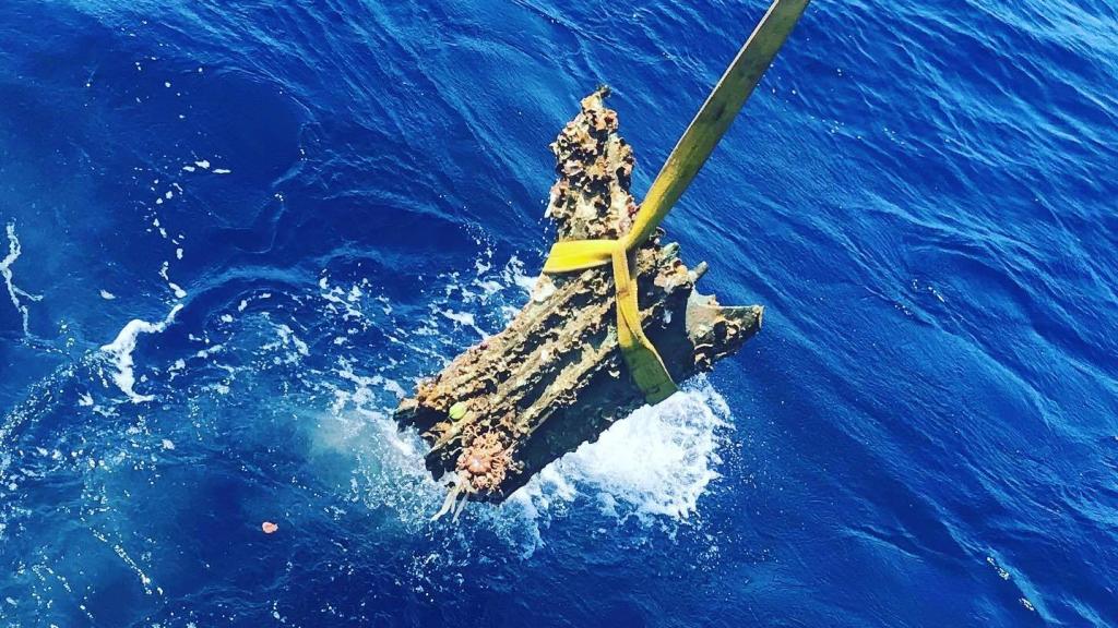 Momento de la extracción de uno de los últimos espolones recuperados.