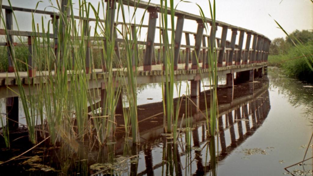 Se suspenden las visitas guiadas en las Tablas de Daimiel