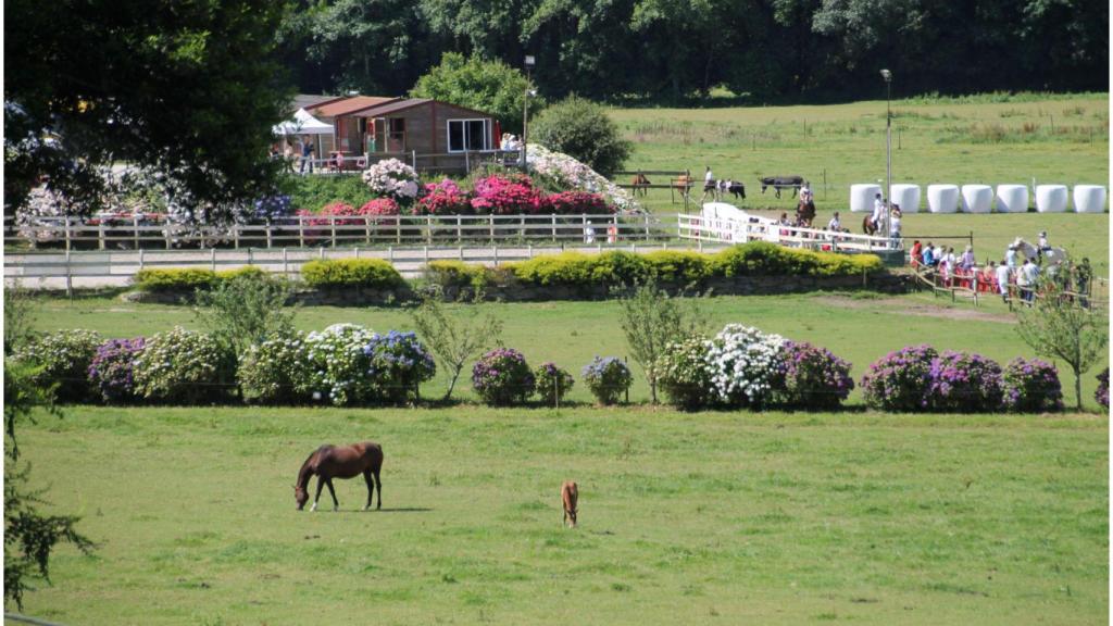 Vista de Granxa do Souto en Ortigueira (A Coruña).