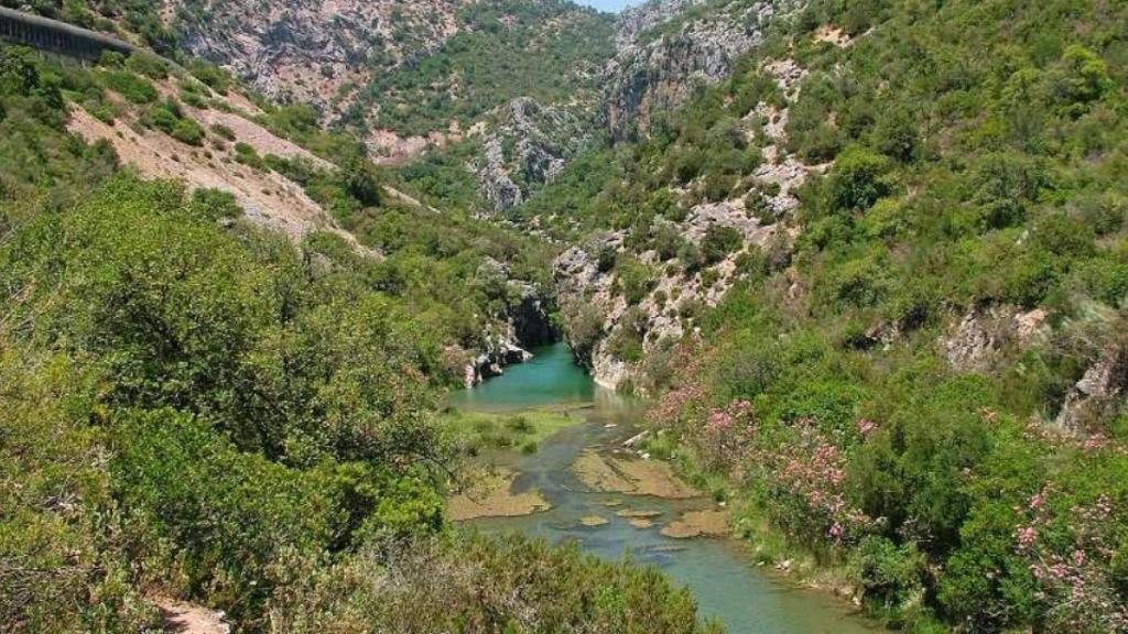 El río Guadiaro a su salida del Cañón de las Buitreras en el charco del Moro.