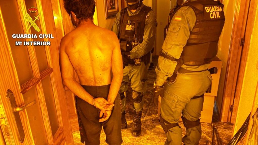 Intervenidas 6.000 plantas de marihuana en Toledo