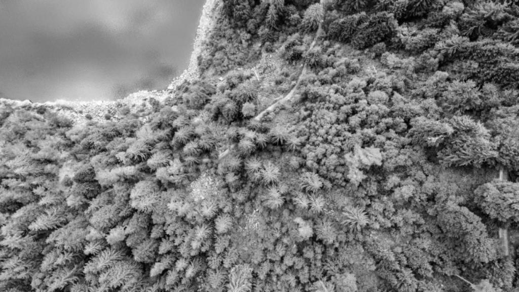 La apuesta por la sostenibilidad.