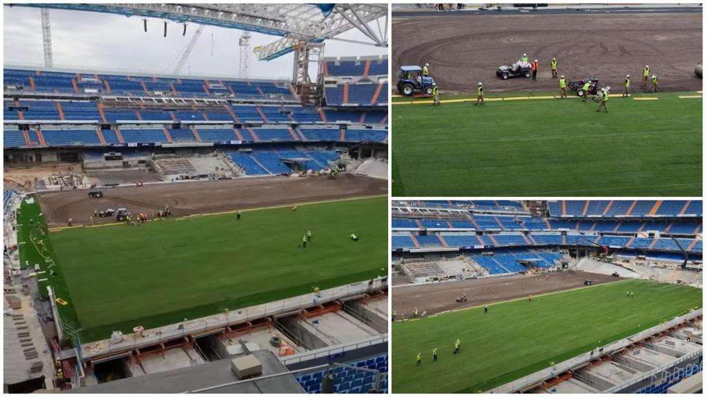 El nuevo césped del Santiago Bernabéu