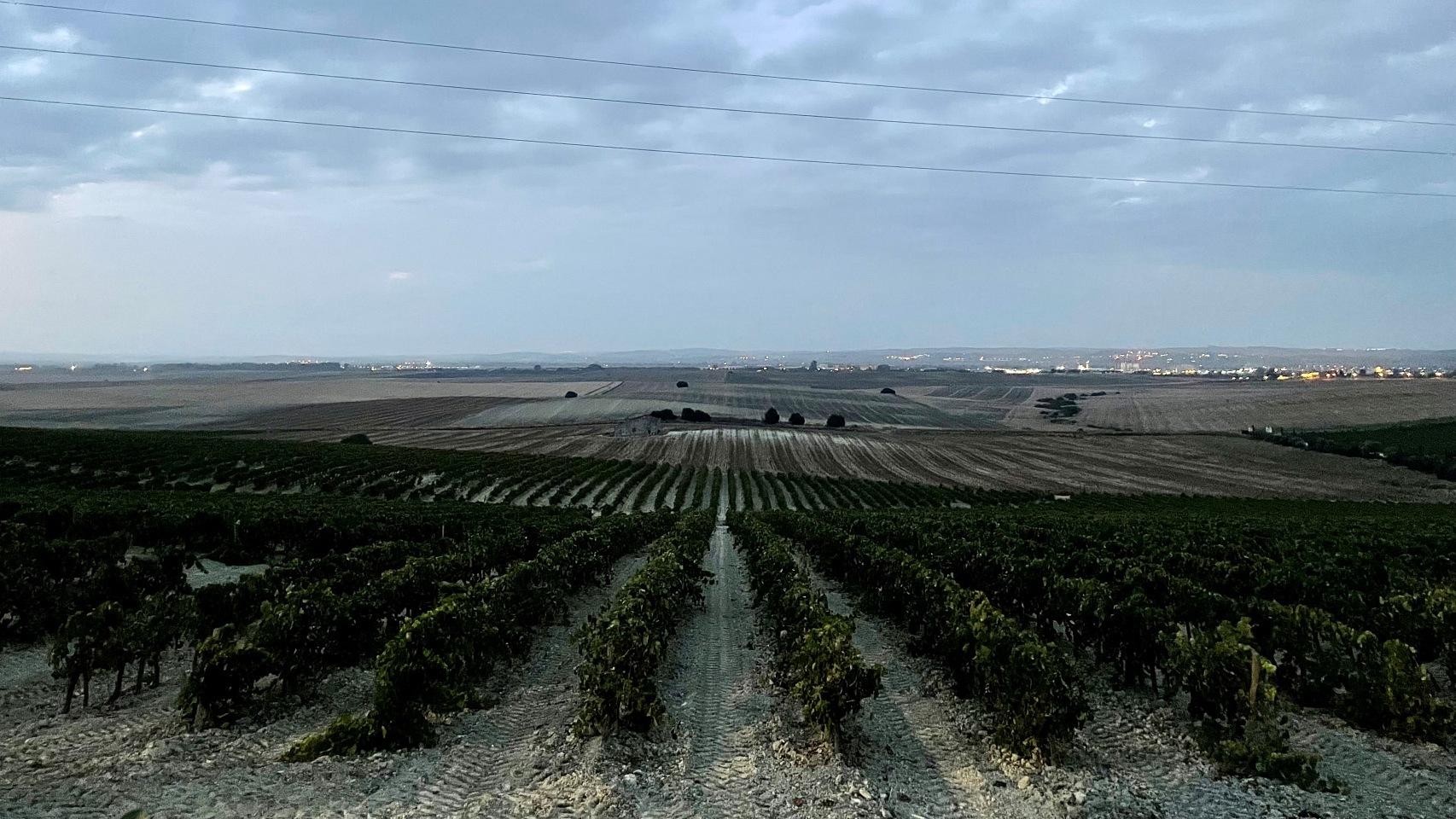 Amanecer sobre el Pago de Carrascal