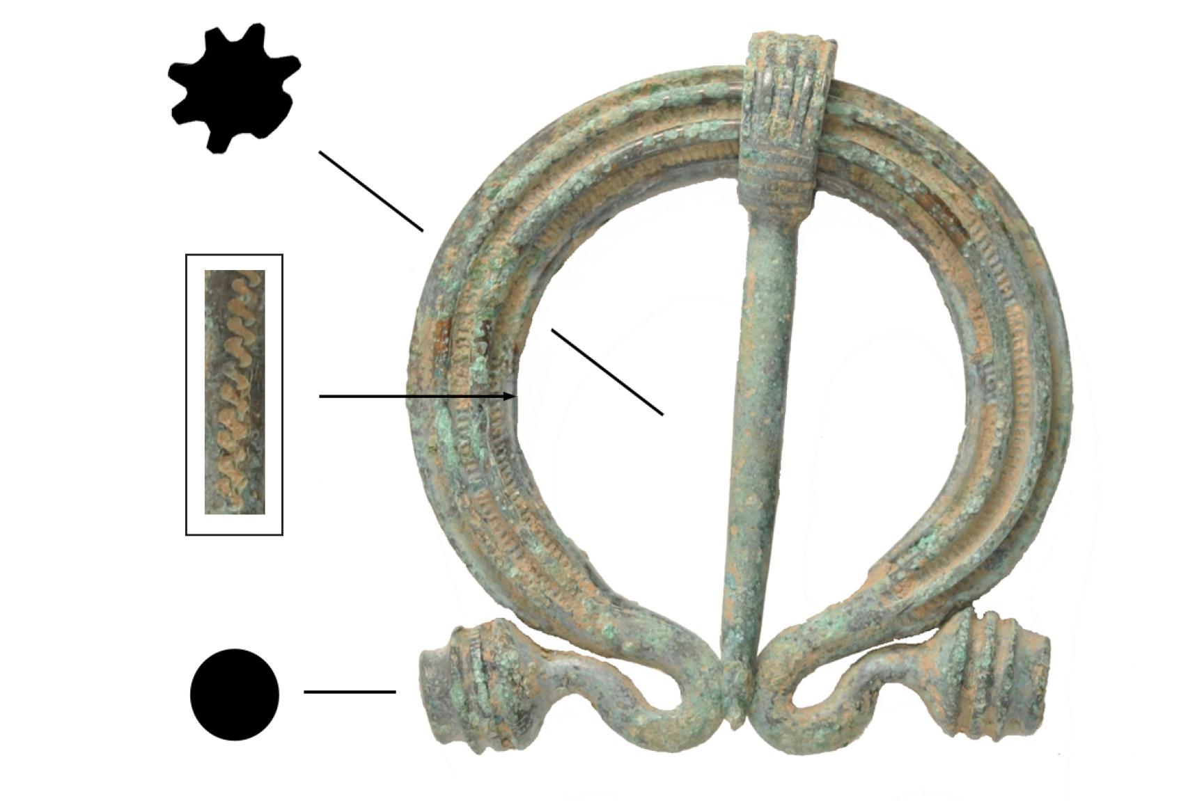 La fíbula omega documentada en su totalidad.