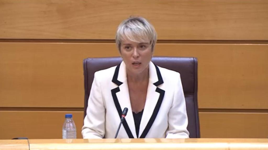 Comparecencia de la secretaria de Estado de Digitalización e IA en el Senado, Carme Artigas, en el Senado