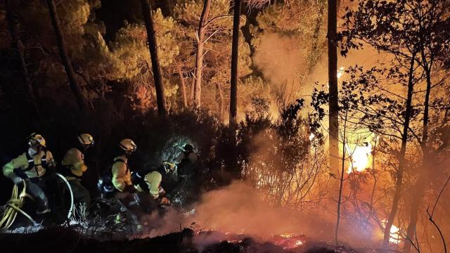 Labores de extinción del fuego en la zona de Jubrique, en Málaga.