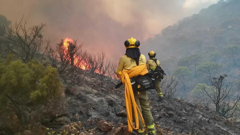 Bomberos del Plan INFOCA en labores de extinción del incendio.