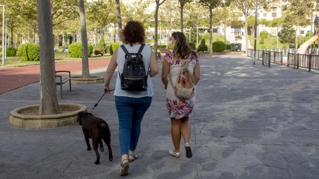 Los perros no podrán estar solos más de 24 horas