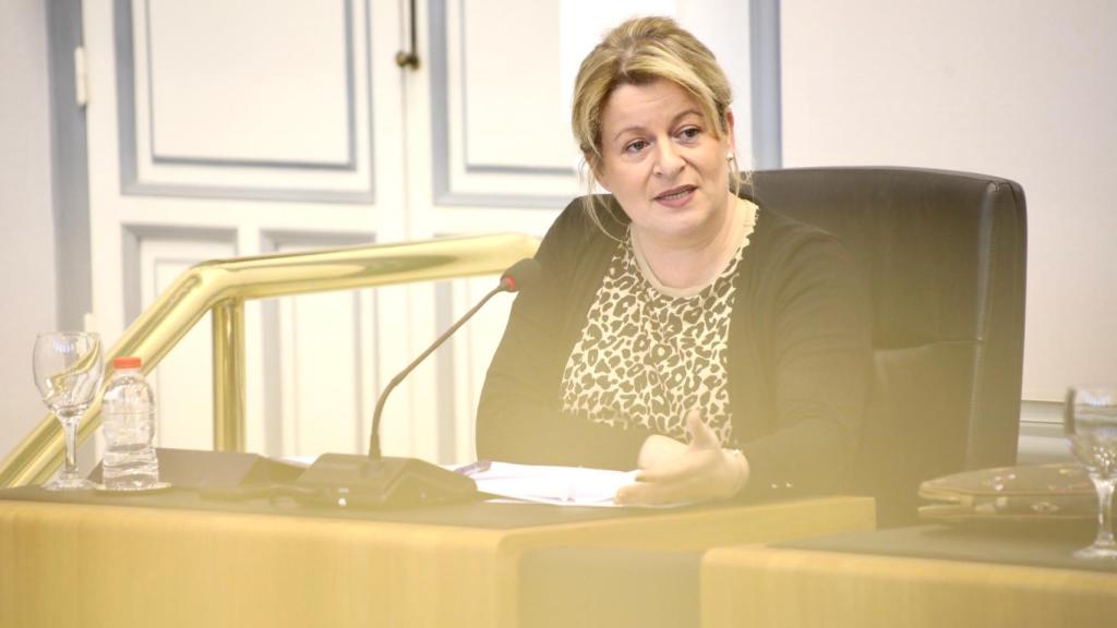 La vicepresidenta y diputada de Ciclo Hídrico, Ana Serna.